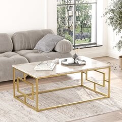 Кофейный столик Asir, 100x40x60см, цвет белый и золотой цена и информация | Журнальные столики | kaup24.ee