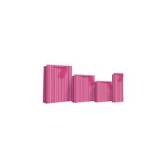 Kinkekott Pink Stripe Holo, L цена и информация | Подарочные упаковки | kaup24.ee