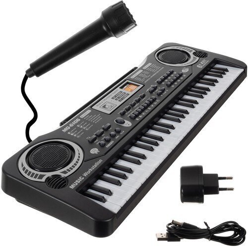 Elektriline klaver mikrofoniga цена и информация | Arendavad mänguasjad | kaup24.ee