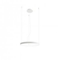 Chandelier RIO 55 white 4000K THORO TH.107 цена и информация | Люстры | kaup24.ee