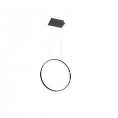 Pendant lamp RIO 110 black 4000K THORO TH.124 цена и информация | Люстры | kaup24.ee