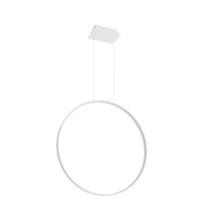 Pendant lamp RIO 55 white 3000K THORO TH.113 цена и информация | Люстры | kaup24.ee