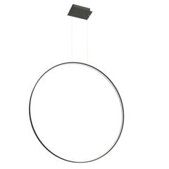 Pendant lamp RIO 110 black 4000K THORO TH.124 цена и информация | Люстры | kaup24.ee