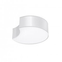 Plafond CIRCLE 1 white SPANISH ORANGE SL.1050 цена и информация | Потолочные светильники | kaup24.ee