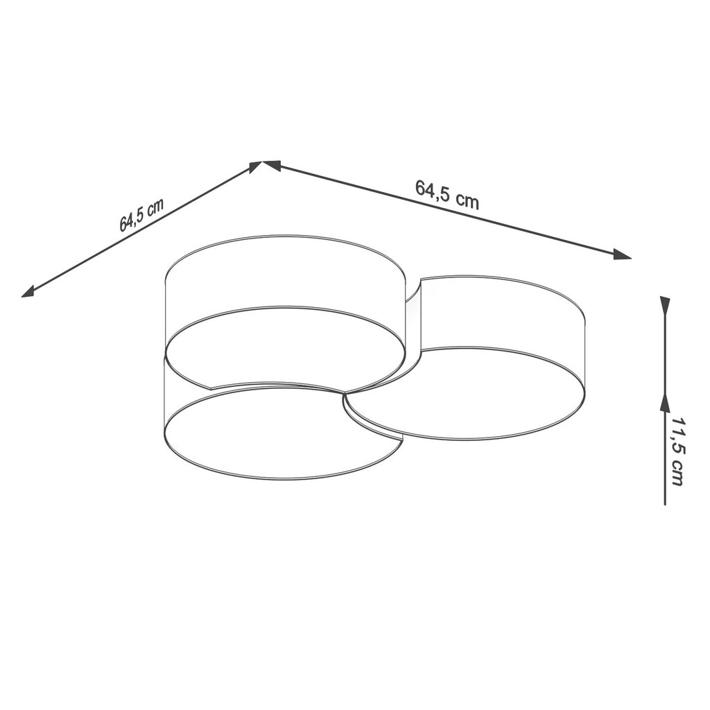 Laelamp Circle 3B цена и информация | Laelambid | kaup24.ee