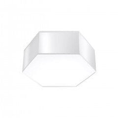 Plafond SUNDE 11 white SPANISH ORANGE SL.1056 цена и информация | Потолочные светильники | kaup24.ee