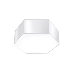 Plafond SUNDE 11 white SPANISH ORANGE SL.1056 цена и информация | Потолочные светильники | kaup24.ee