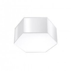 Plafond SUNDE 13 white SPANISH ORANGE SL.1057 цена и информация | Потолочные светильники | kaup24.ee