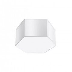 Plafond SUNDE 15 white SPANISH ORANGE SL.1058 цена и информация | Потолочные светильники | kaup24.ee