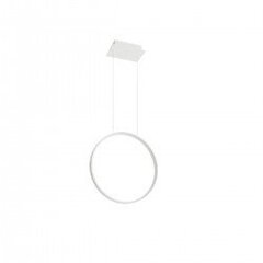 Pendant lamp RIO 55 white 3000K THORO TH.113 цена и информация | Люстры | kaup24.ee