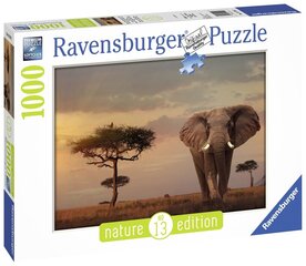 Ravensburger Masai 1000-osaline pusle hind ja info | Pusled | kaup24.ee