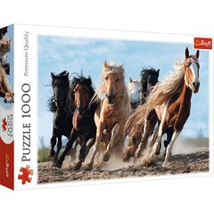Trefl Galloping horses pusle 1000-osaline цена и информация | Пазлы | kaup24.ee