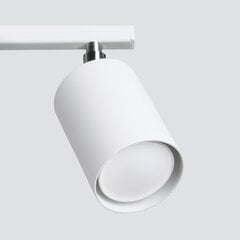 Потолочный светильник Lemmi цена и информация | Потолочные светильники | kaup24.ee