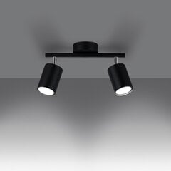 Потолочный светильник Lemmi цена и информация | Потолочные светильники | kaup24.ee
