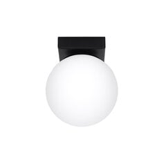 Потолочный светильник Sollux Yoli цена и информация | Потолочные светильники | kaup24.ee