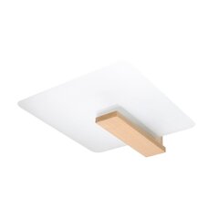 Sollux laelamp Lappo цена и информация | Потолочные светильники | kaup24.ee
