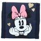 Rahakott lastele Minnie Mouse hind ja info | Laste aksessuaarid | kaup24.ee