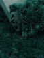 Vannitoa vaip, Henry, roheline, 60x90 cm hind ja info | Vannitoa sisustuselemendid ja aksessuaarid | kaup24.ee