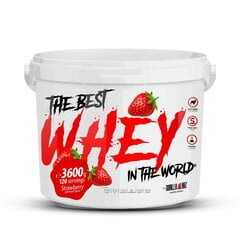 Proteiin GorillaLabz Best Whey, maasika maitse, 3600g hind ja info | Proteiin | kaup24.ee