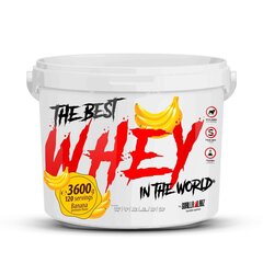 Протеин GorillaLabz Best Whey, 3600 г, банан цена и информация | Gorilla Labz Защитные, дезинфицирующие средства, медицинские товары | kaup24.ee