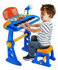 Klaveri tooli ja mikrofoniga hind ja info | Arendavad mänguasjad | kaup24.ee