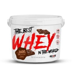 Протеин GorillaLabz Best Whey, 3600 г, шоколад цена и информация | Gorilla Labz Защитные, дезинфицирующие средства, медицинские товары | kaup24.ee