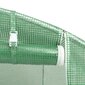 vidaXL kasvuhoone terasraamiga, roheline, 40 m², 20x2x2 m hind ja info | Kasvuhooned | kaup24.ee