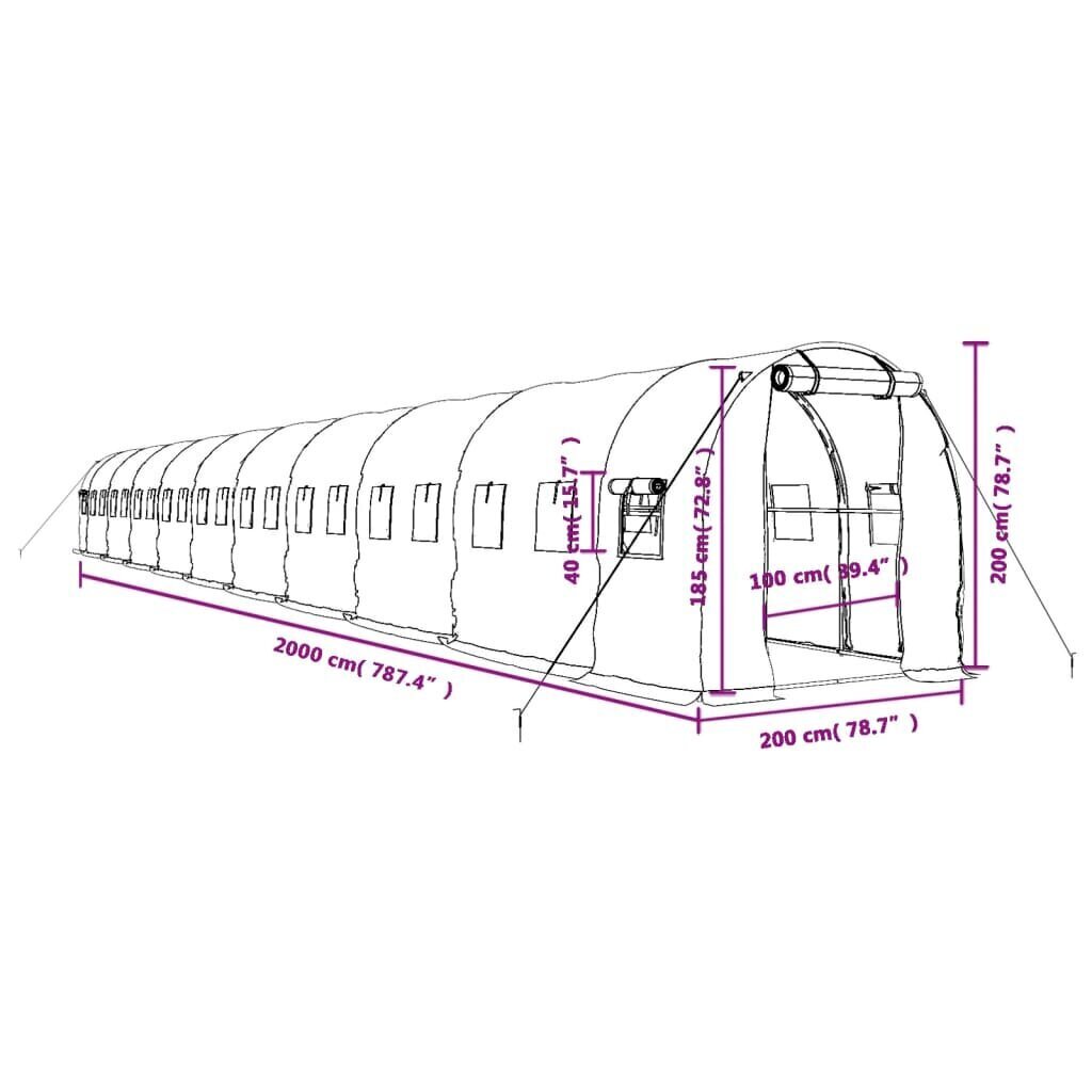 vidaXL kasvuhoone terasraamiga, roheline, 40 m², 20x2x2 m цена и информация | Kasvuhooned | kaup24.ee