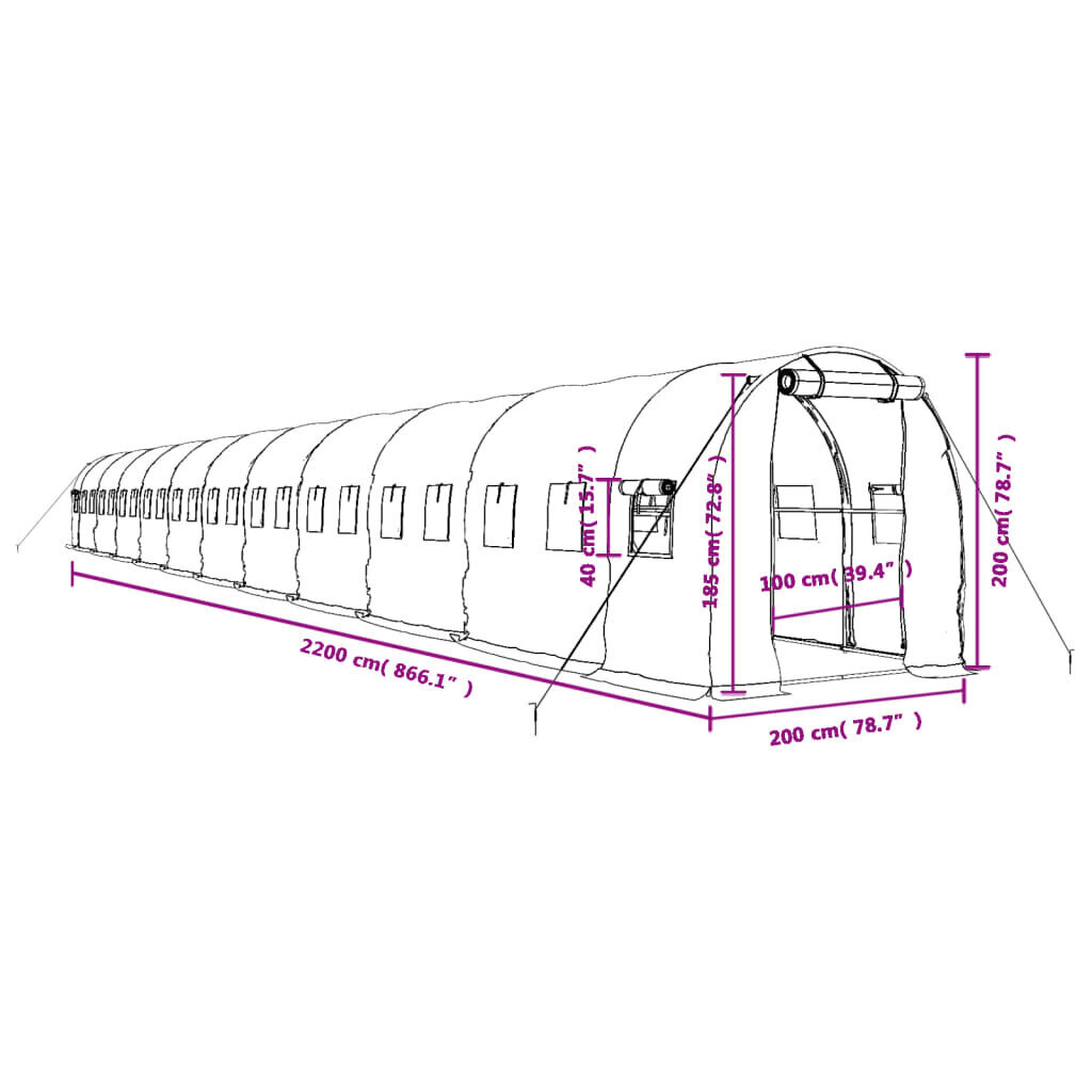 vidaXL kasvuhoone terasraamiga, valge, 44 m², 22x2x2 m цена и информация | Kasvuhooned | kaup24.ee