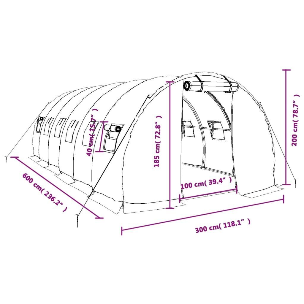 vidaXL kasvuhoone terasraamiga, roheline, 18 m², 6x3x2 m hind ja info | Kasvuhooned | kaup24.ee