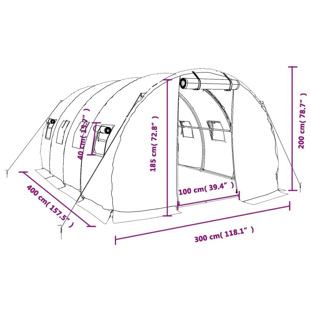 vidaXL kasvuhoone terasraamiga, roheline, 12 m², 4x3x2 m hind ja info | Kasvuhooned | kaup24.ee