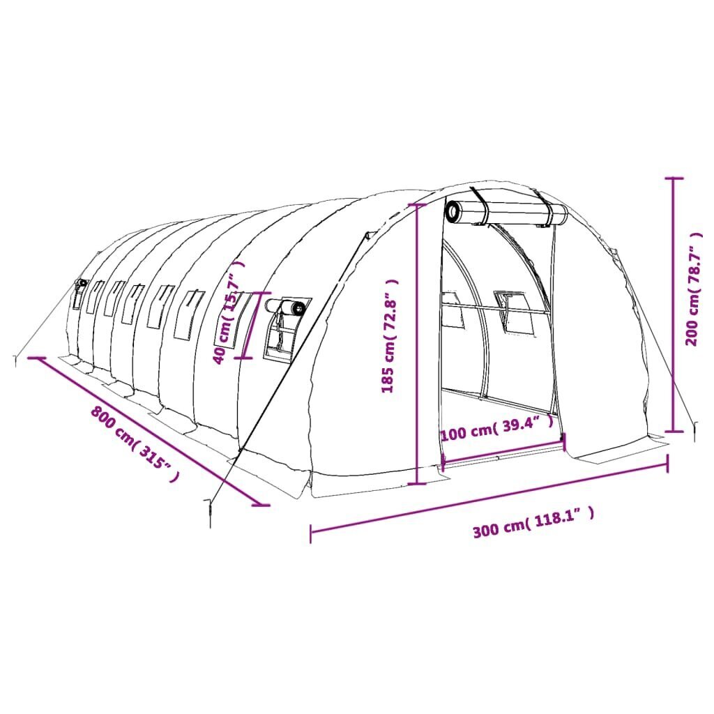 vidaXL kasvuhoone terasraamiga, roheline, 24 m², 8x3x2 m hind ja info | Kasvuhooned | kaup24.ee