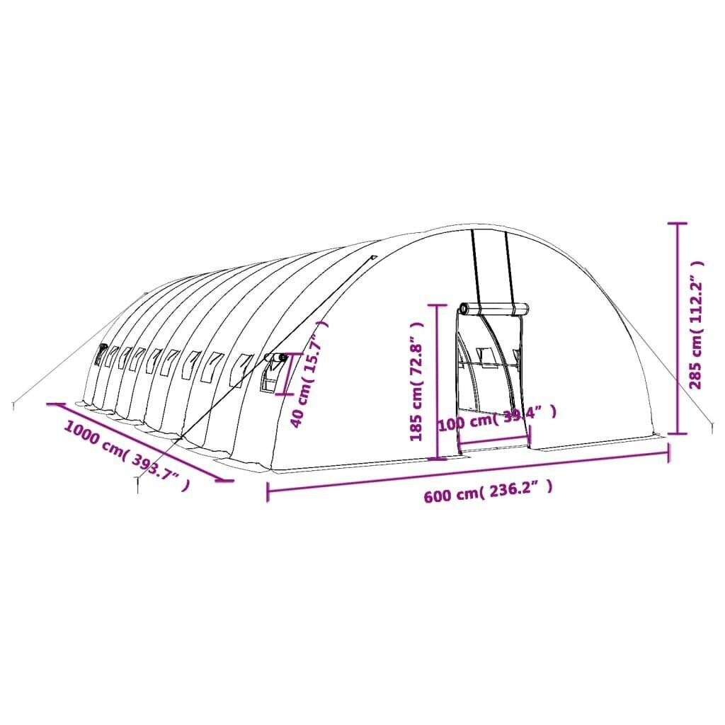 vidaXL kasvuhoone terasraamiga, valge, 60 m², 10x6x2,85 m hind ja info | Kasvuhooned | kaup24.ee