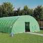 vidaXL kasvuhoone terasraamiga, roheline, 48 m², 8x6x2,85 m hind ja info | Kasvuhooned | kaup24.ee