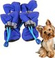 Koera kingad, sinised, 4 tk. hind ja info | Riided koertele | kaup24.ee
