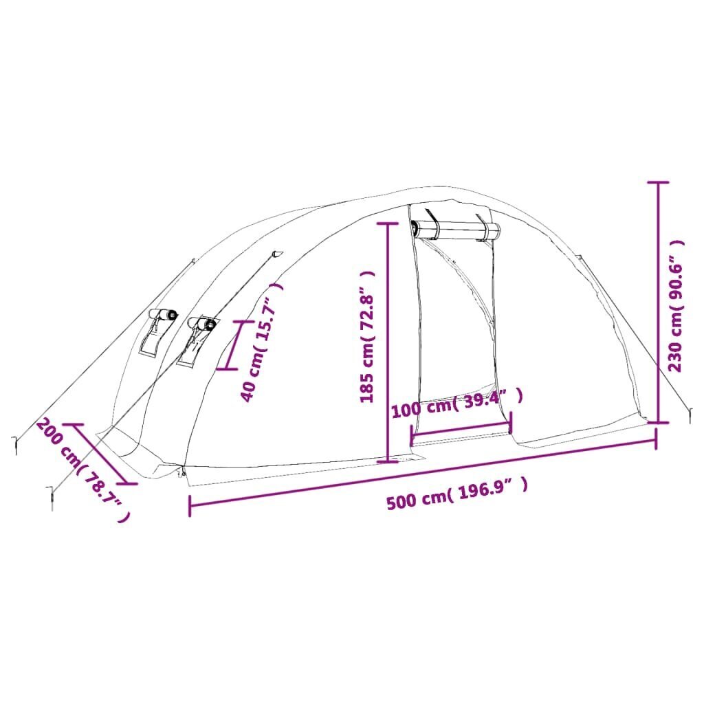 vidaXL kasvuhoone terasraamiga, valge, 10 m², 5x2x2,3 m hind ja info | Kasvuhooned | kaup24.ee