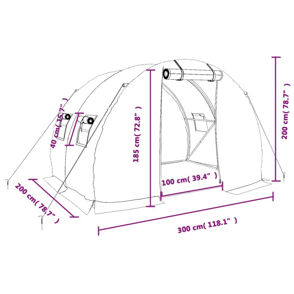 vidaXL kasvuhoone terasraamiga, valge, 6 m², 3x2x2 m hind ja info | Kasvuhooned | kaup24.ee