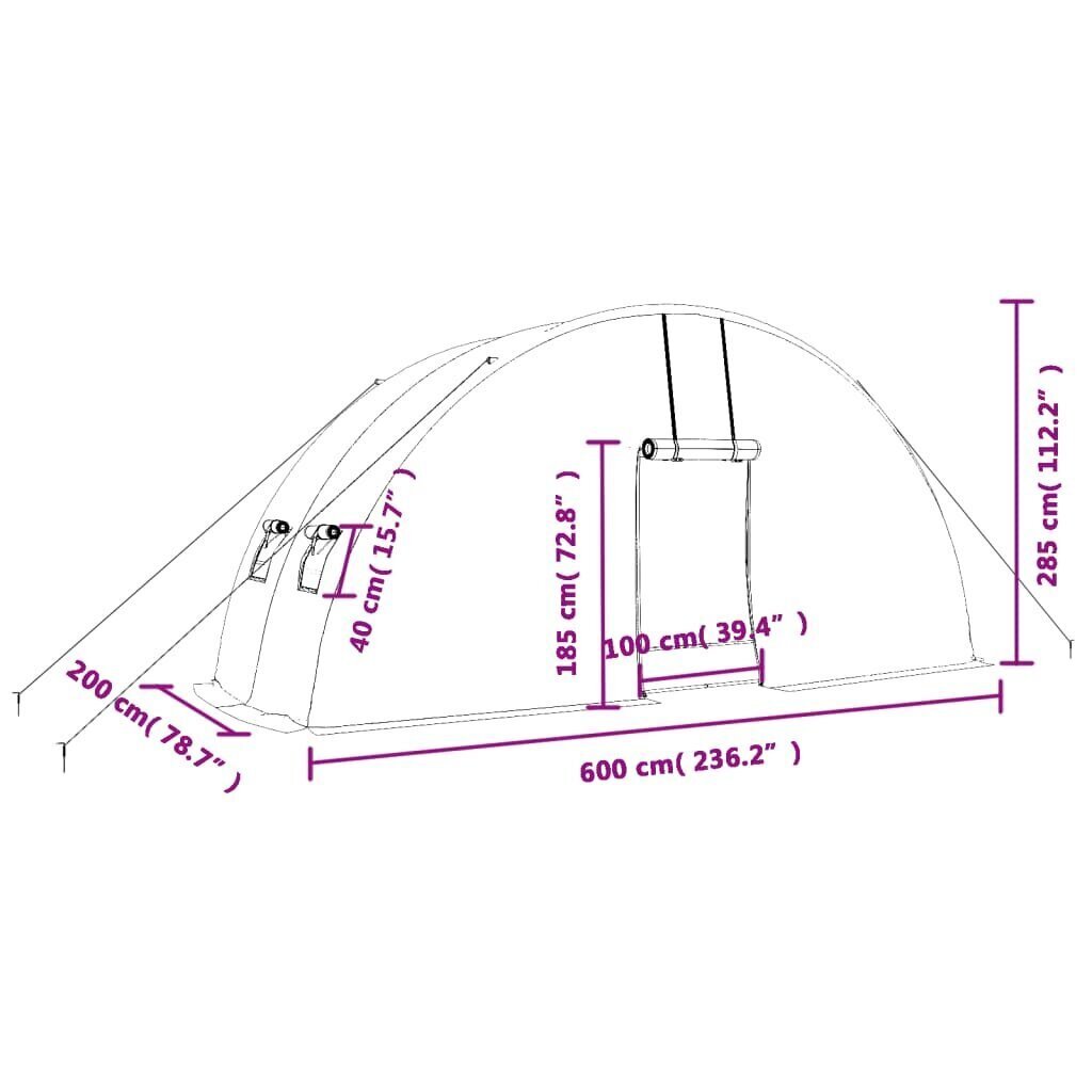 vidaXL kasvuhoone terasraamiga, roheline, 12 m², 6x2x2,85 m hind ja info | Kasvuhooned | kaup24.ee