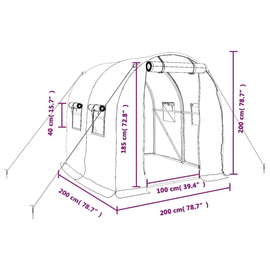 vidaXL kasvuhoone terasraamiga, valge, 4 m², 2x2x2 m hind ja info | Kasvuhooned | kaup24.ee