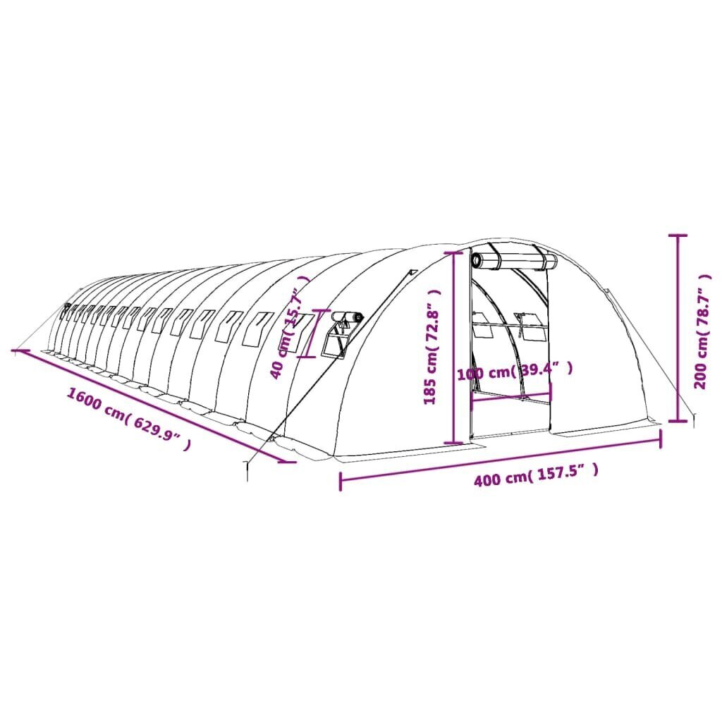 vidaXL kasvuhoone terasraamiga, roheline, 64 m², 16x4x2 m цена и информация | Kasvuhooned | kaup24.ee