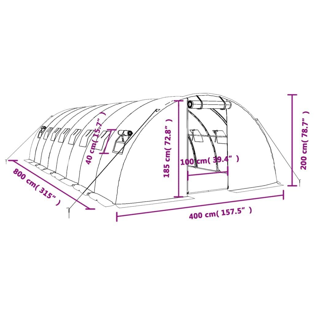 vidaXL kasvuhoone terasraamiga, roheline, 32 m², 8x4x2 m hind ja info | Kasvuhooned | kaup24.ee