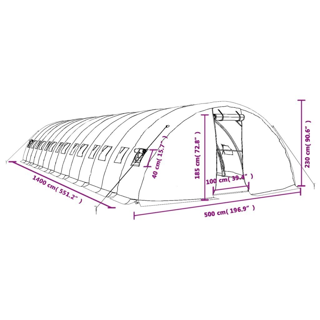 vidaXL kasvuhoone terasraamiga, roheline, 70 m², 14x5x2,3 m hind ja info | Kasvuhooned | kaup24.ee