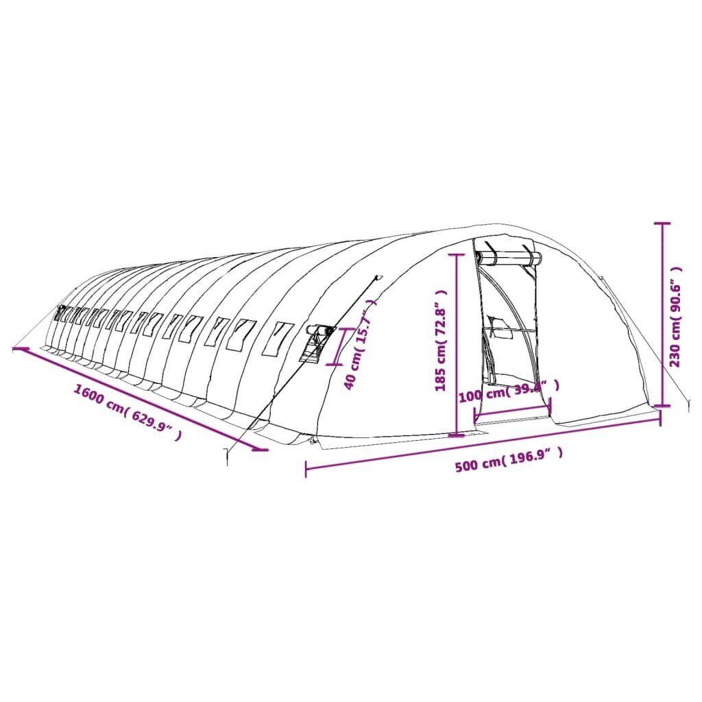 vidaXL kasvuhoone terasraamiga, roheline, 80 m², 16x5x2,3 m hind ja info | Kasvuhooned | kaup24.ee