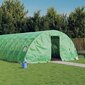 vidaXL kasvuhoone terasraamiga, roheline, 80 m², 16x5x2,3 m hind ja info | Kasvuhooned | kaup24.ee