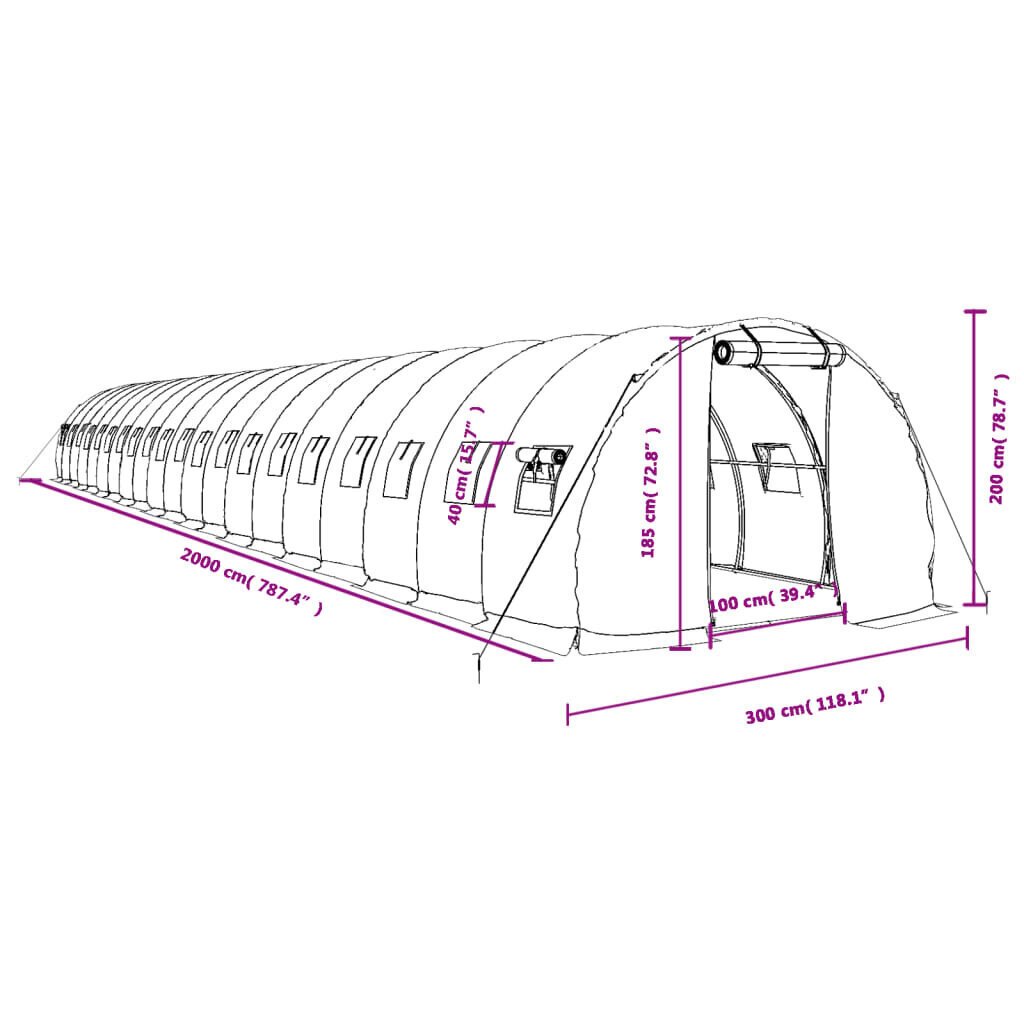 vidaXL kasvuhoone terasraamiga, roheline, 60 m², 20x3x2 m цена и информация | Kasvuhooned | kaup24.ee