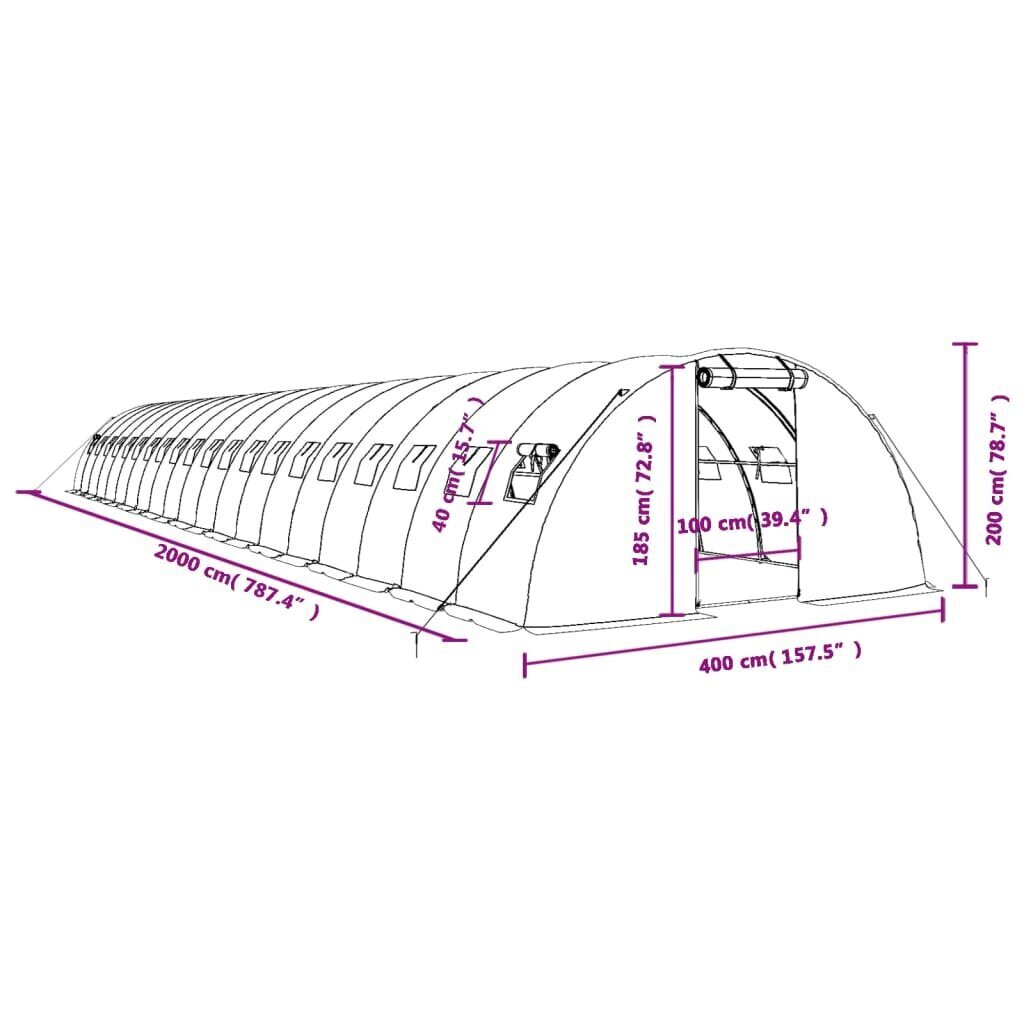 vidaXL kasvuhoone terasraamiga, roheline, 80 m², 20x4x2 m hind ja info | Kasvuhooned | kaup24.ee