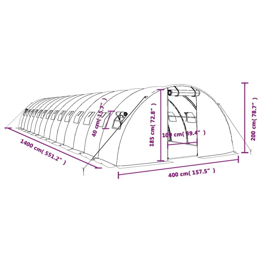 vidaXL kasvuhoone terasraamiga, roheline, 56 m², 14x4x2 m hind ja info | Kasvuhooned | kaup24.ee