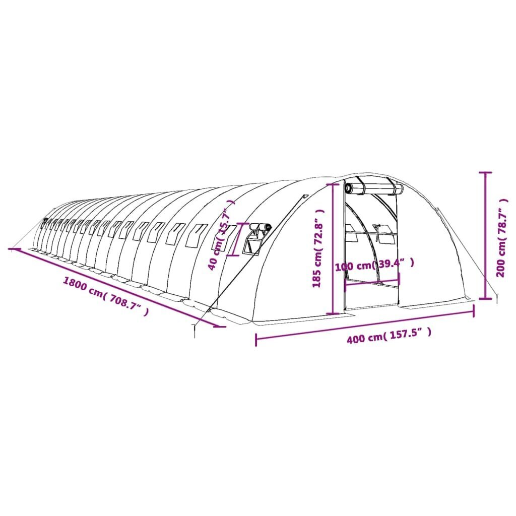 vidaXL kasvuhoone terasraamiga, roheline, 72 m², 18x4x2 m hind ja info | Kasvuhooned | kaup24.ee