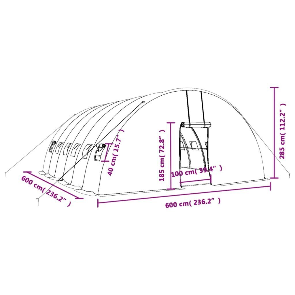 vidaXL kasvuhoone terasraamiga, roheline, 36 m², 6x6x2,85 m hind ja info | Kasvuhooned | kaup24.ee