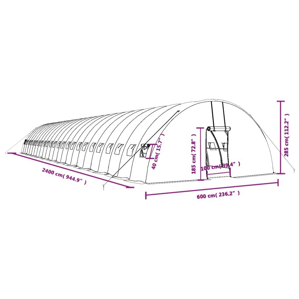 vidaXL kasvuhoone terasraamiga, roheline, 144 m², 24x6x2,85 m hind ja info | Kasvuhooned | kaup24.ee